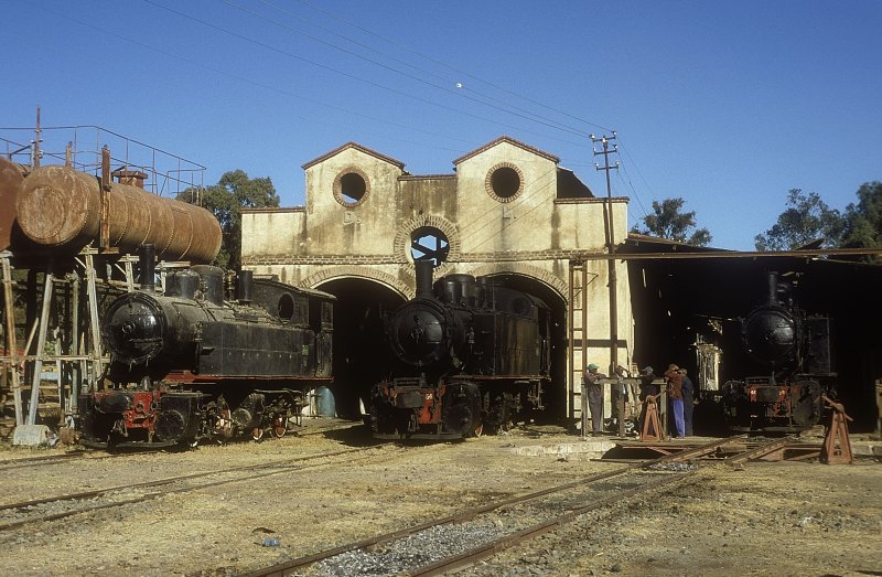 440 008 + 442.54 + 59  Asmara  06.02.05