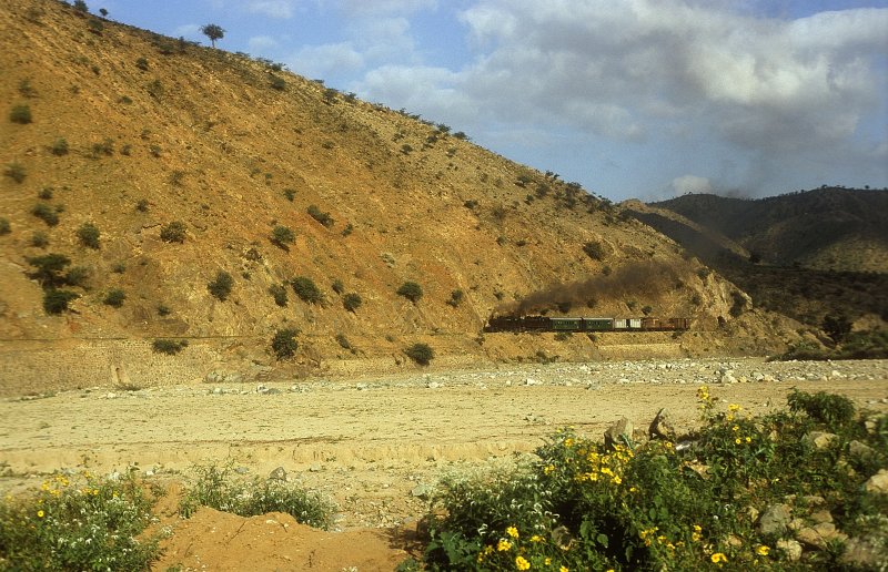 442 54 + 442 59  bei Barosa  09.02.05