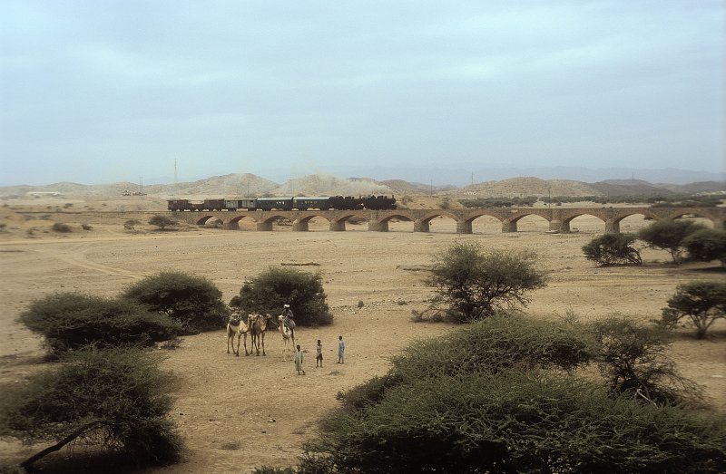 442 54 + 59  Dogali  09.02.05