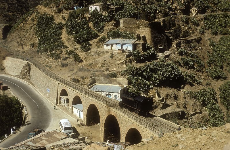 442 54  Arborobue  06.02.05