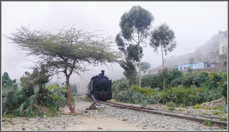 442.55 duckt sich unter die Bume im wieder einmal vernebelten Shegerini.(31.10.2008)