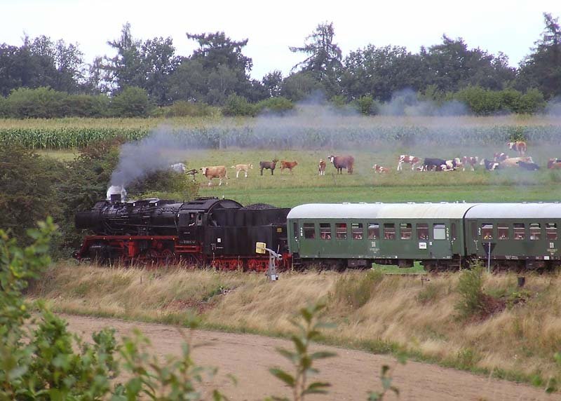 50 3616-5 am 20.8.2006 von Drrrhrsdorf unterwegs Richtung Arnsdorf. Dieser Streckenabschnitt ist seit Anfang 2007 stillgelegt.