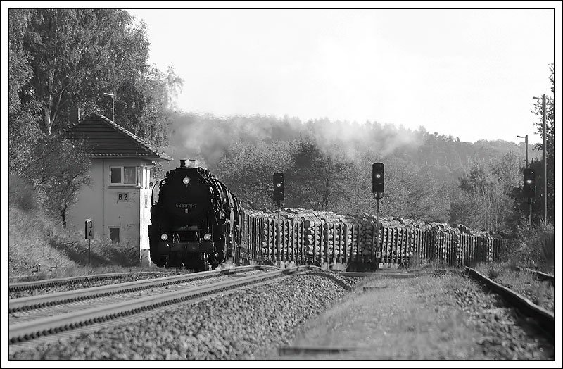 52 8079 und 52 8075 bei der Einfahrt in den Bahnhof Marksuhl mit 1600 Tonnen Holz am Haken. 13.10.2007 - letzter Planddampftag im Werratal.