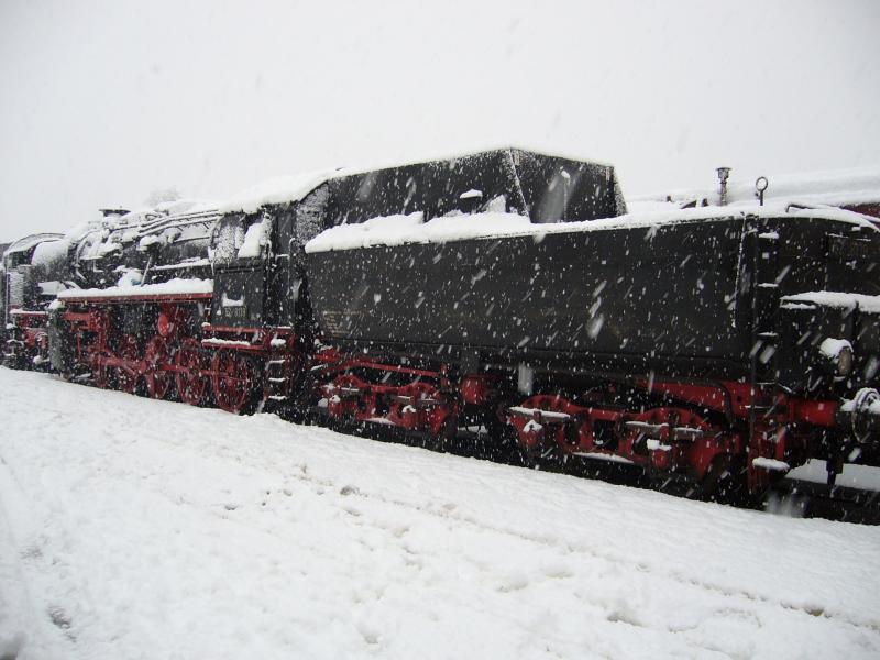 52-8139 im schnei
26-11-2005 Beekbergen/Lieren Niederlande