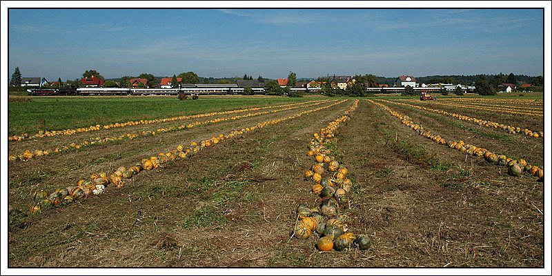 52.1227 mit ihrem Spz 8457 von Graz nach Kflach am 22.9.2007 beim Halt in Sding-Mooskirchen. Vom Zug sieht man leider wegen der Lnge nicht besonders viel, geht aber meiner Meinung nach aber noch als Eisenbahnbild durch. Achja, aus den Krbisen, respektive aus den Kernen, die eigentlich die Hauptdarsteller auf dem Foto sind, wird das berhmte steirische Krbiskernl gemacht.