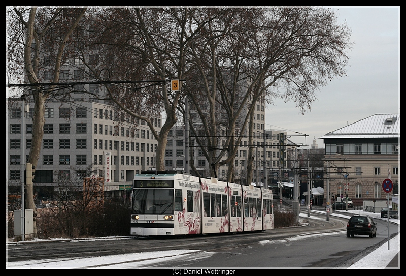 5623 am 7. Januar 2009 auf dem Lindenhofbuckel.