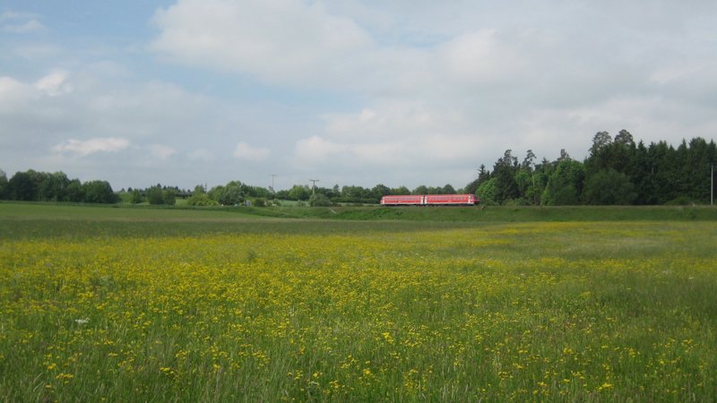 611 035 fhrt am 1. Juni 2009 auf der Allemannenbahn, aufgenommen bei Zollhaus.