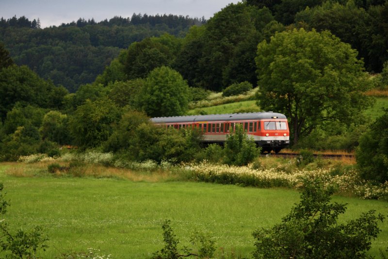 614 005 fhrt als RB 35708, Neuhaus (Pegnitz) - Nrnberg, durch das Pegnitztal, hier bei Eschenbach, 08.07.09 