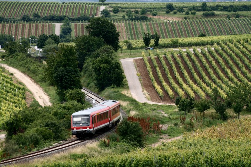 628 2xx ist am 15.06.08 als Regionalbahn nach Grnstadt bei Herxheim am Berg unterwegs.
