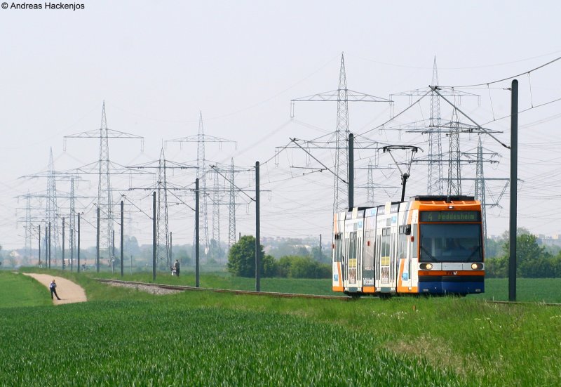 628 als 4 nach Heddesheim zwischen Heddesheim und Wallstadt Ost am 2.5.09