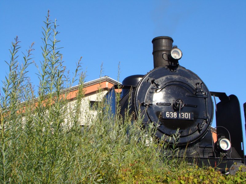 638 1301 in Wrgl.24.08.2008