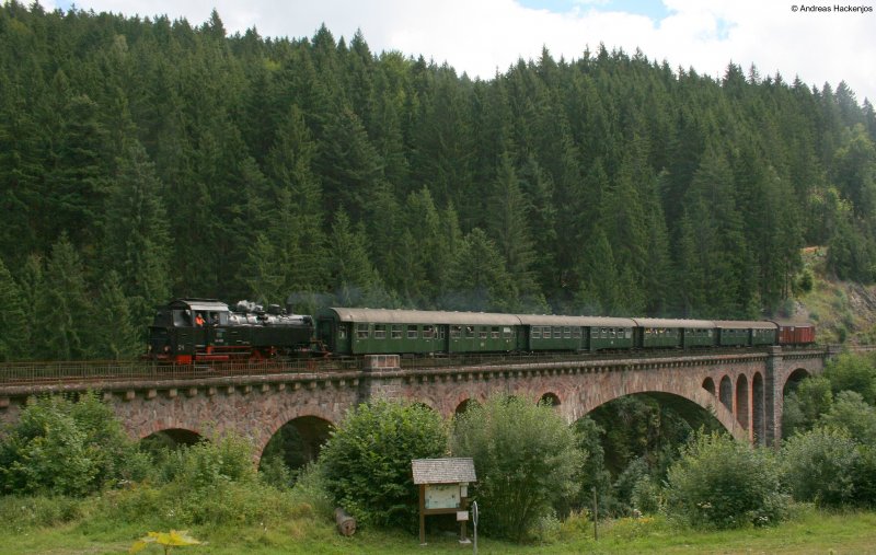 64 419 mit ihrem Sonderzug nach Neustadt(Schwarzw) auf der Gutachbrcke in Kappel 9.8.08