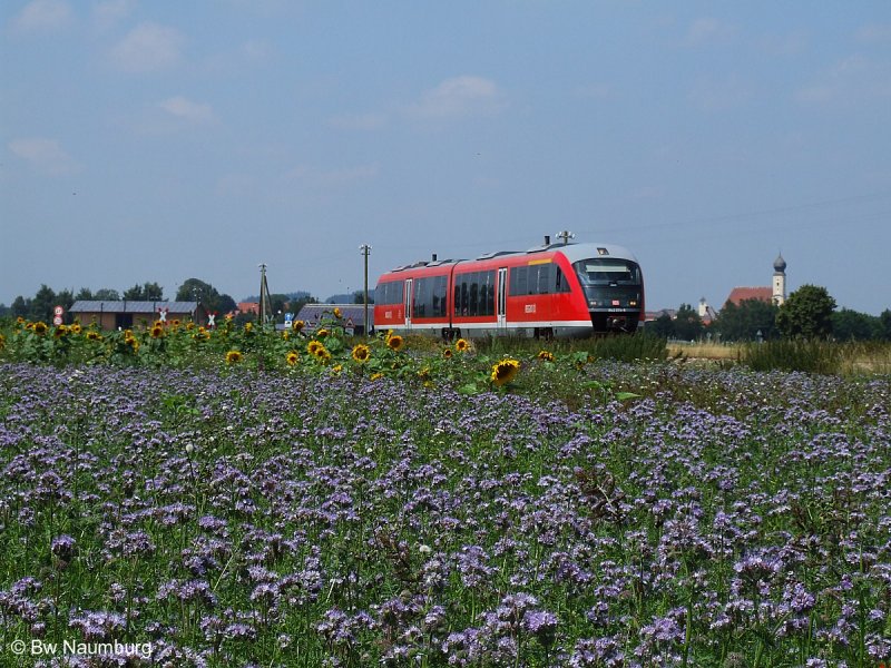 642 074 am 28.07.2008 kurz hinter Pfaffenhausen auf der Fahrt nach Mindelheim.