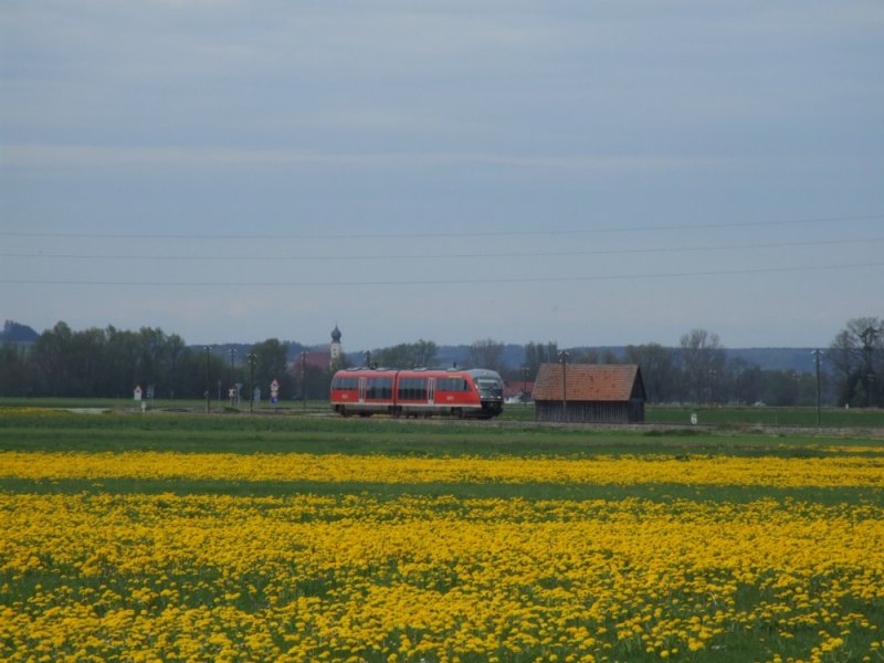 642 215 am 30.04.2008 bei Nassenbeuren.
