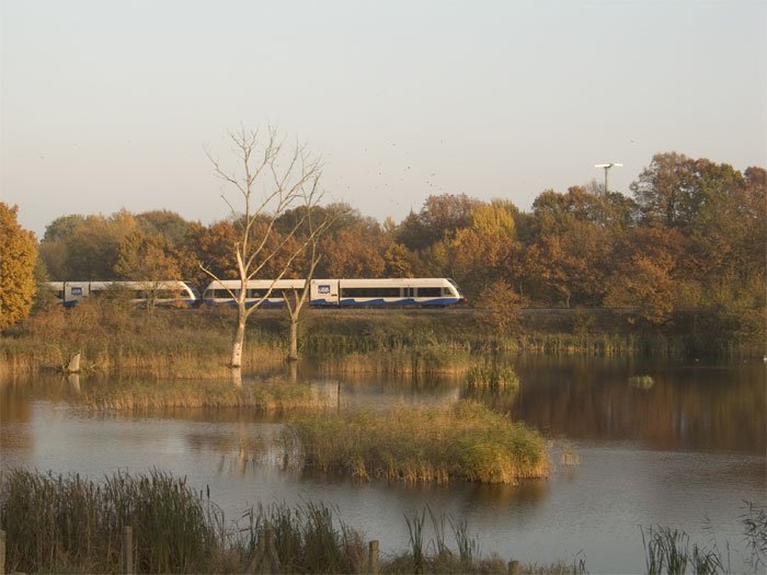 646,fahrt durch die schne Landschaft ,nhe Hohendorfer Teiche