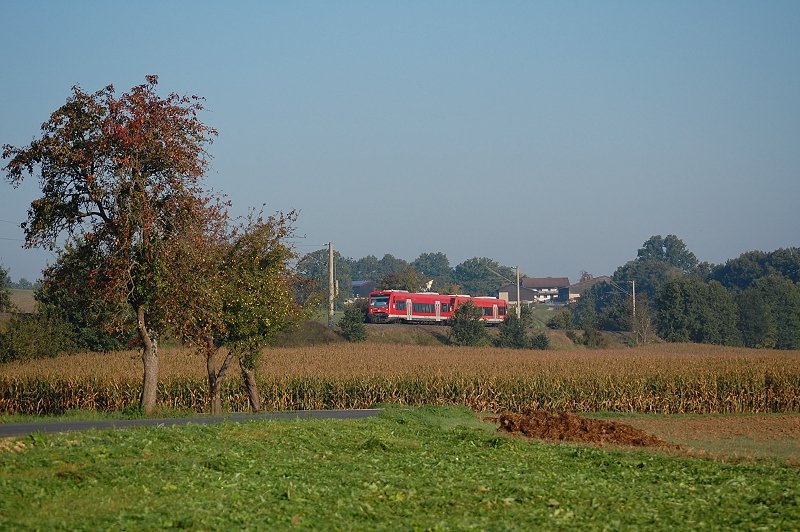 650 313 und ein weiterer 650 sind am Morgen des 27.09.08 unterwegs als RE 22521 von Ellwangen nach Ulm Hbf, aufgenommen bei Schwabsberg an der Oberen Jagsttalbahn (KBS 786).