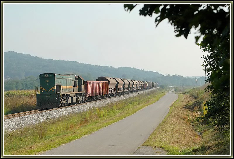 664-106 mit ihrem Gterzug auf dem Weg nach Hodos. Die Aufnahme entstand am 12.10.2006 zwischen Murska Sobota und Hodos.