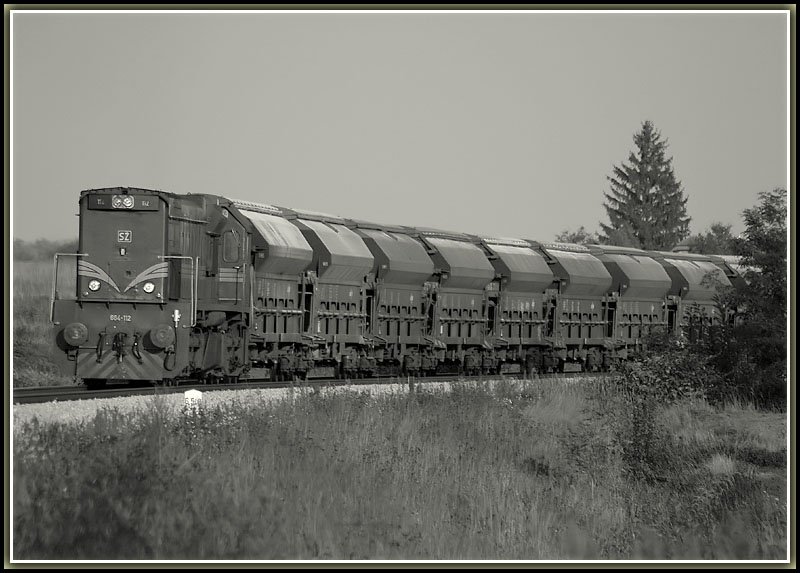 664-112 verlsst mit einem Gterzug den Grenzbahnhof in Hodos am 12.10.2006. Das Bild kommt in den nchsten Tagen noch einmal, dann aber in Farbe und nicht so stark gezoomt.