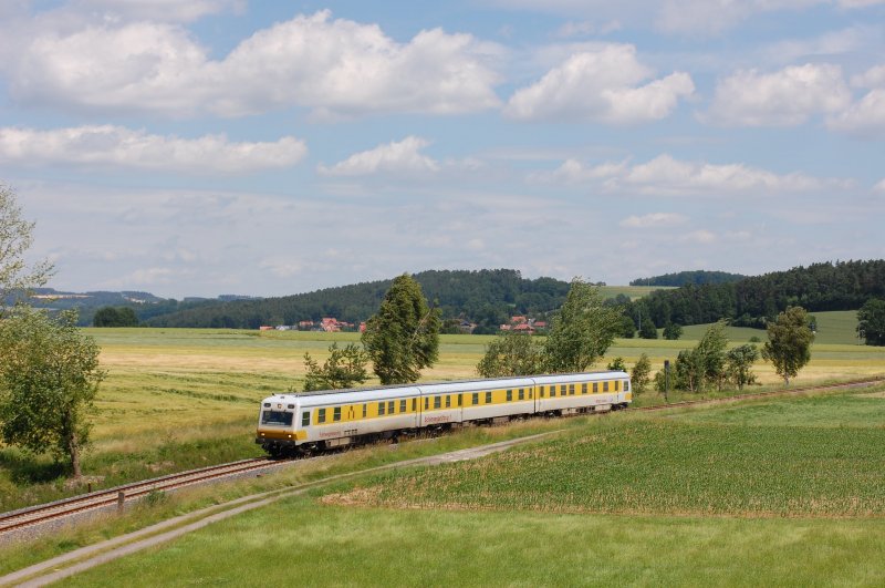 719 102/ 720 101/719 101 am 18.06.2009 bei Godlricht (Strecke Amberg-Schnaittenbach)