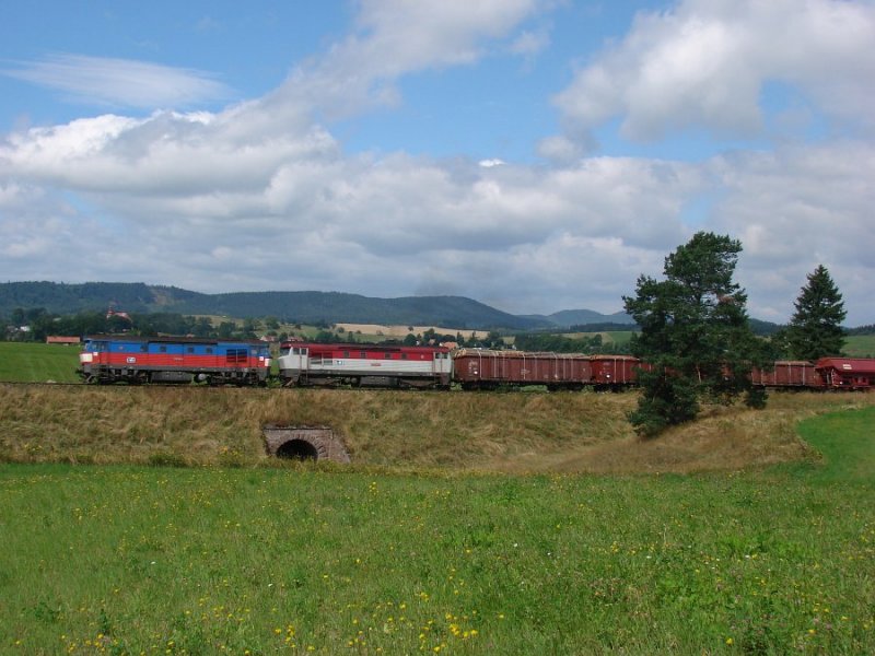 751 151-2 und 751 038-1 mit Gz aus Mezimesti am 09.08.2008 bei Brezova u Broumova