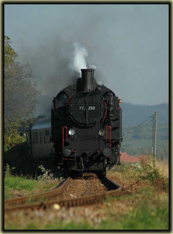 77.250 der Fa. Brenner&Brenner (ex. BB 77.244 / ex. BB 629.59) am 24.9.2006 mit dem IGE Sonderzug R 16640 kurz vor der Einfahrt in Drnstein-Oberloiben in der Wachau. 