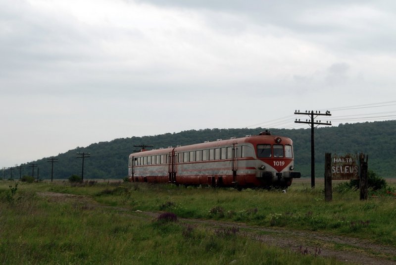78 1019 mit dem P3136 in Seleus (18.05.2007)