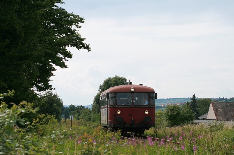 798 818 als Sonderzug nach Wachenheim-M�lsheim kurz vor Erreichen des Zielbahnhofes, 15.06.08.