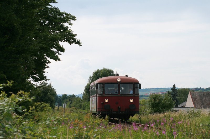 798 818 als Sonderzug nach Wachenheim-Mlsheim kurz vor Erreichen des Zielbahnhofes, 15.06.08.