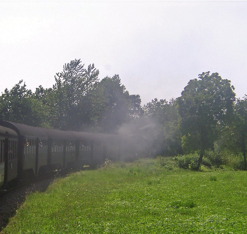 86 333 (vom Rauch verdeckt) mit DPN4 zwischen Zollhaus-Blumberg und Weizen, 12.8.07.