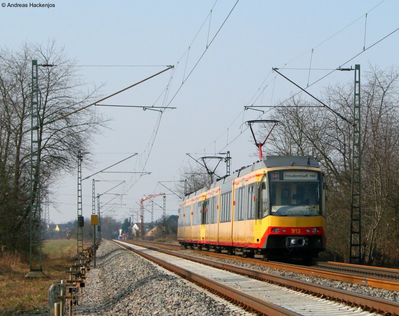 863 und 913 als S41 nach Freudenstadt  an der BK Basheide 22.3.09