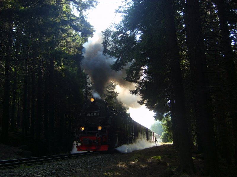 8925 bei der Ausfahrt aus dem Bahnhof Schierke am 3.10.2008. Bevor dieser Zug einfuhr wurde durch die Lautsprecher bekannt gegeben, dass es nur noch Stehpltze im Zug zu ergattern gbe. Wie eigentlich bei jedem zug an jenem Tag. 