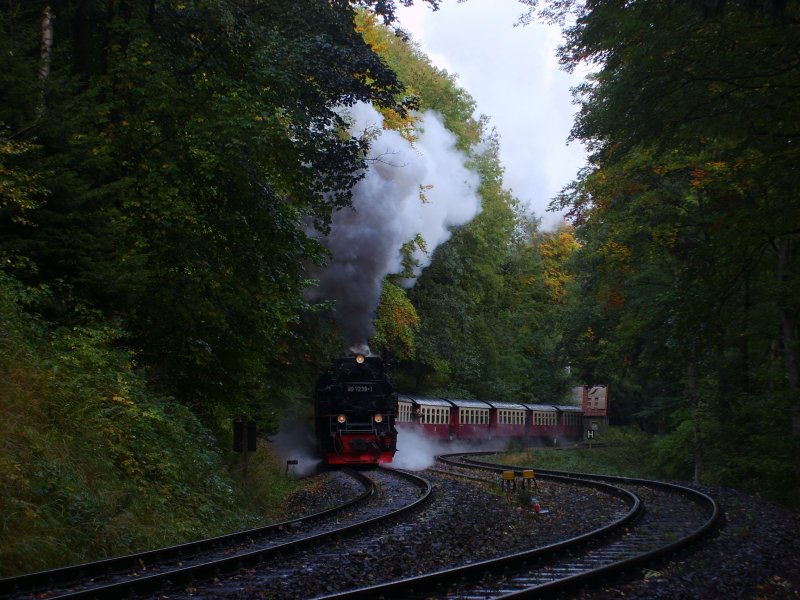 8925 durchfhrt die Ausweichstelle Drngetal, 4.10.2008, 10:38