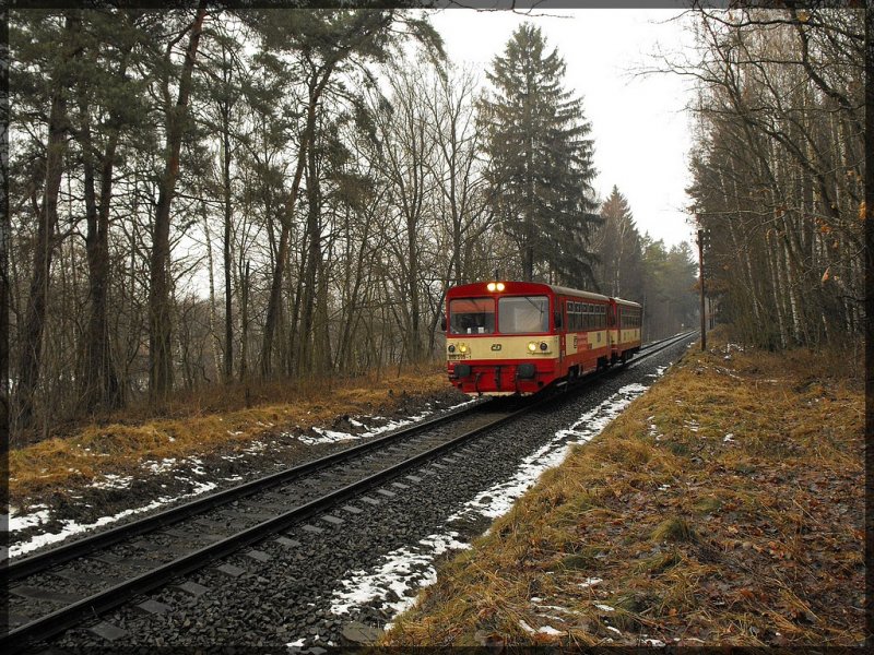 910-595 rollt mit einem Beiwagen Richtung Furth im Wald.(27.02.2009)