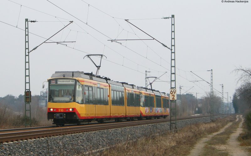 910 und 917 als S41 nach Freudenstadt Hbf zwischen Durmersheim und Forchheim 22.3.09