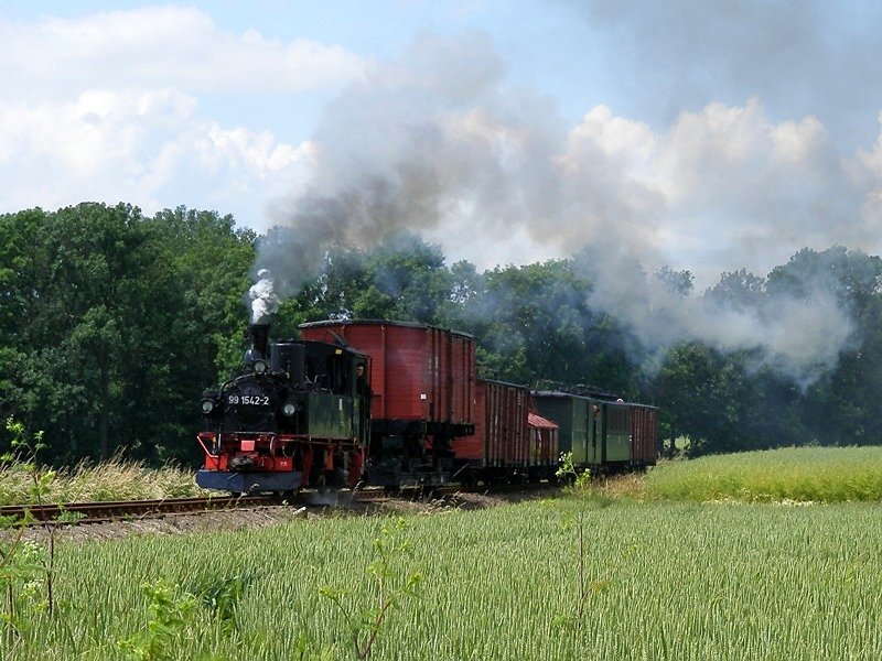 99 1542-2 zieht ein Foto-Gterzug am 12.6.2009 hier nahe Naundorf.