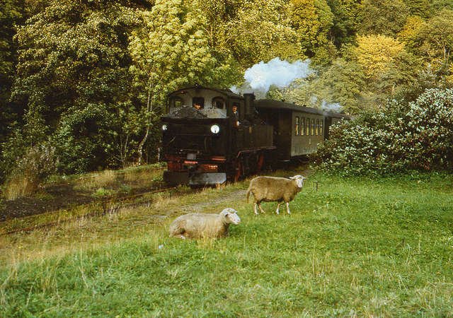 99 1585 mit Pz im Bf.Wolkenstein