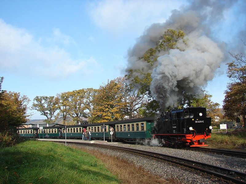 99 4011 bei der Ausfahrt aus dem Bahnhof Sellin. (25.10.08)