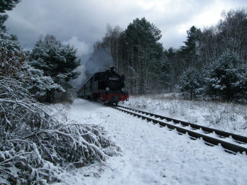99 4802 ist gerade in Sellin West abgefahren und macht sich auf den Weg in die Granitz. 22.11.2008