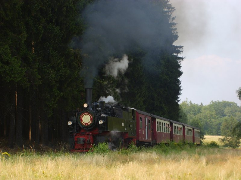 99 5906-5 auf den Haferfeld Wiesen kreuzt sie gerade den Wanderweg nach Sternhaus Ramberg. Am heutigen Tag (7.8.2007) vor 120 Jahren wurde der Streckenabschnitt Gernrode-Mgdesprung in Betrieb genommen. Aus diesem Anlass fuhren alle Zge der Selketalbahn zum 0-Tarif.
Die Zge waren mehr als berfllt!!