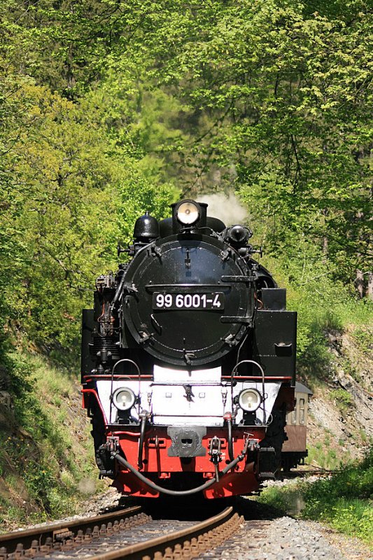 99 6001 am 11.05.2008 kurz vor dem Hp Dratzug. Die Lok ist zur Abwechslung mal Formatf�llend.