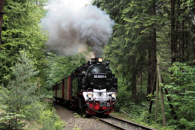 99 6001 kurz hinter dem Hp Osterteich in einem der schnsten Abschnitte der Selketalbahn !