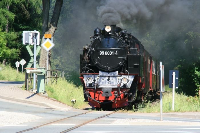 99 6001 zieht den P8965 auf den Weg nach Hasselfelde ber die Harzhochstrae bei Alexisbad; 10.06.2008