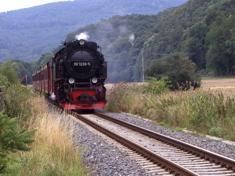 99 72236-5 der Harzer Schmalspurbahnen (HSB)kurz vor Nordhausen am 05.08.06