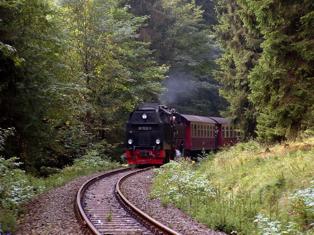 99 7236-5 ist im Sommer 2006 mit ihrem Zug Richtung Drei Annen Hohne  bei Sorge unterwegs.