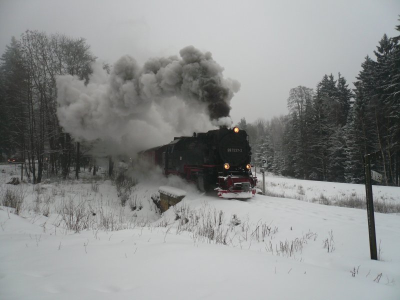 99 7237-3 fhrt mit Volldampf in Richtung Brocken. Aufgenommen am 31.2.2009 kurz hinter Drei-Annen-Hohne.