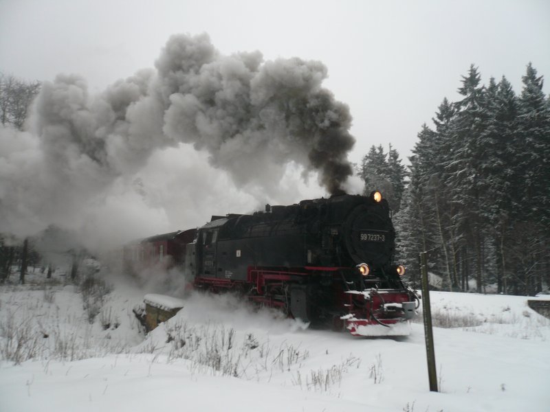 99 7237-3 fhrt mit Volldampf in Richtung Brocken. Aufgenommen am 31.2.2009 kurz hinter Drei-Annen-Hohne.