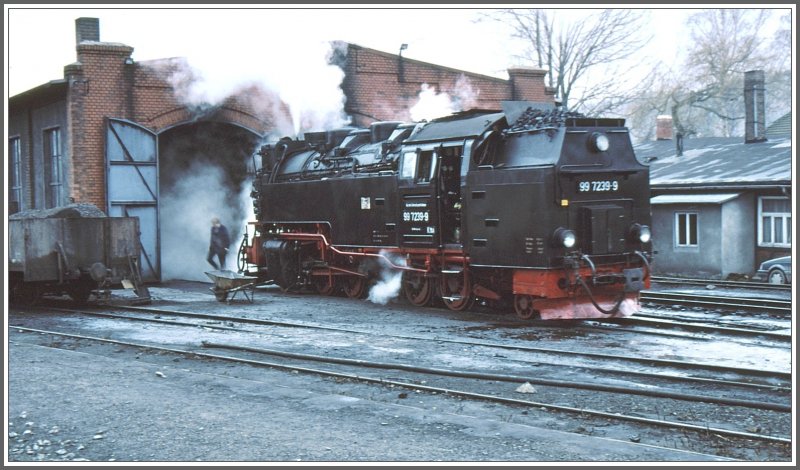 99 7239-9 dampft ruhig vor sich hin vor dem Depot in Gernrode. (Archiv 12/94)