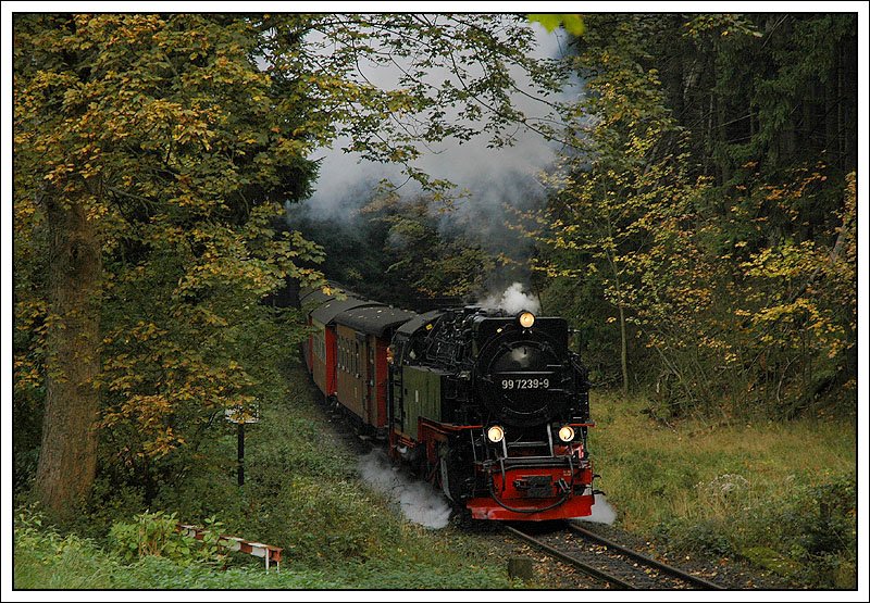 99 7239 bespannte am 10.10.2007 den ersten Zug (8931) von Wernigerode auf den Brocken. Die Aufnahme entstand neben dem Hotel/Restaurant in Drei Annen.