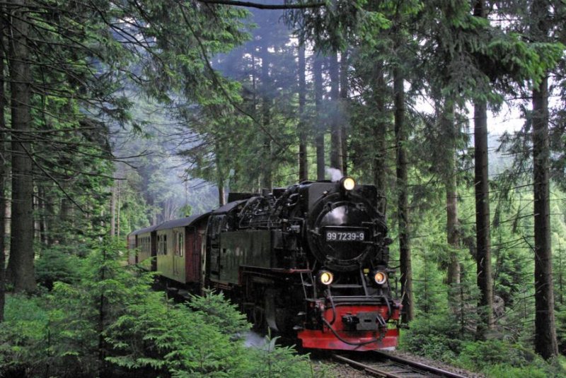 99 7239 mit Volldampf unterwegs Richtung Brocken.(am 26.07.2009)
