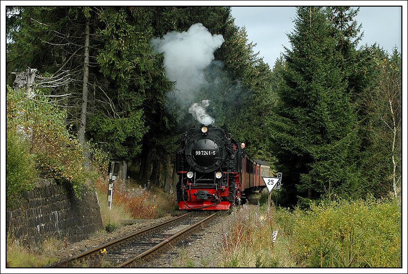 99 7241 bespannte am 9.10.2007 den Zug 8903 vom Brocken nach Eisfelder Talmhle. Mit gleicher Zugnummer fhrt auch ein Zug von Wernigerode bis Drei Annen Hohne. Die Aufnahme entstand kurz vor Sorge.
